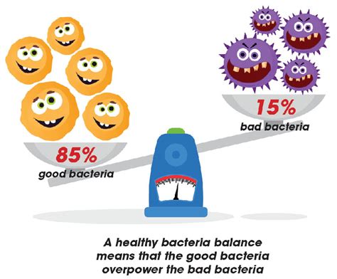 Jul 15, 2019 · due to the typical pattern of vlckd, a hot topic in research and an evolving area of study has been the effect of ketogenic diet on the gut microbiome [50,51,52,53]. Guard Your Gut â Mega Kulim Pharmacy