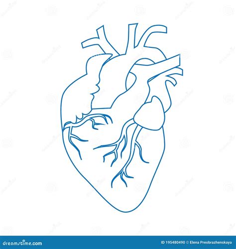 Human Heart Circulatory System Icon Linear Vector Illustration Stock