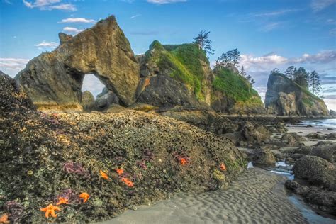 Point Of The Arches Olympic National Park 2 North Western Images