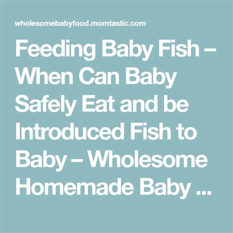 Feeding Baby Fish When Can Baby Safely Eat And Be Introduced Fish To