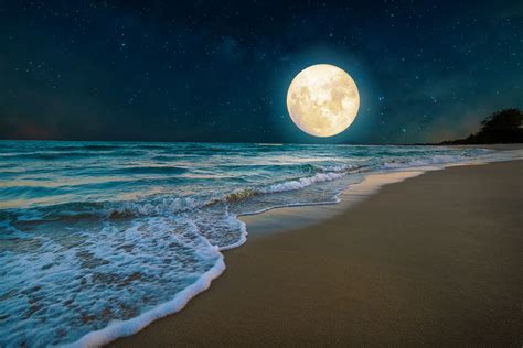 Where In The Sky Will The Moon Be Tonight
