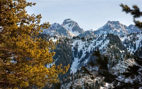 Beautiful Winter Mountain Scenery Stock Photo Image 62528507