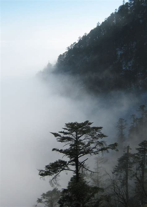 Free Images Nature Forest Branch Mountain Snow Cold Winter