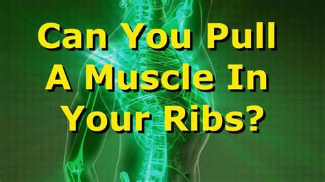 The musculoskeletal system supports our bodies, protects our organs from injury, and enables movement. Can You Pull A Muscle In Your Ribs? - YouTube