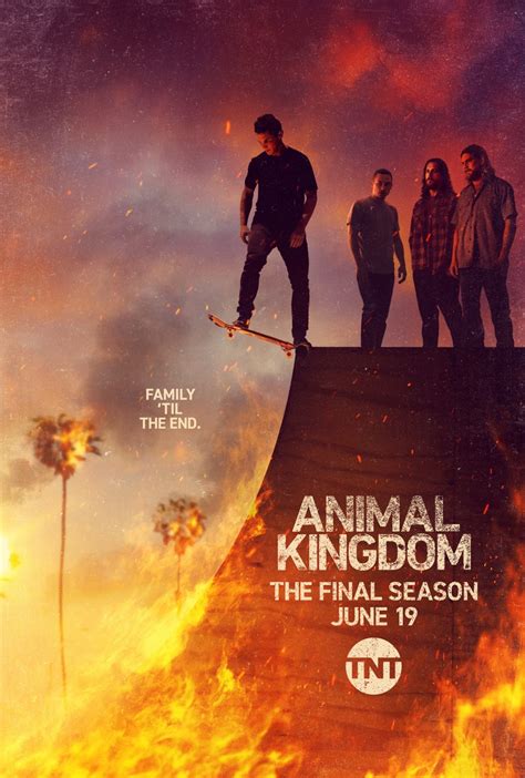 Animal Kingdom 2016 S06e13 Watchsomuch