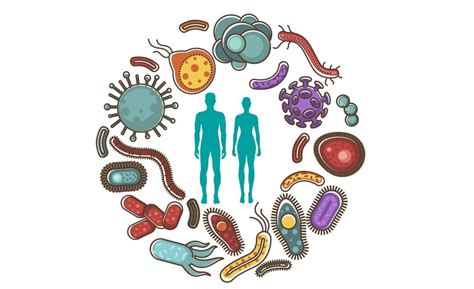 Movement And Our Gut Microbiome Strongself