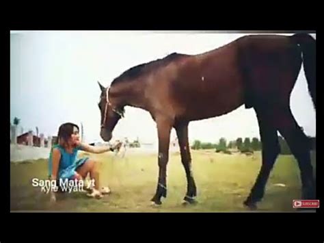 wanita vs kuda