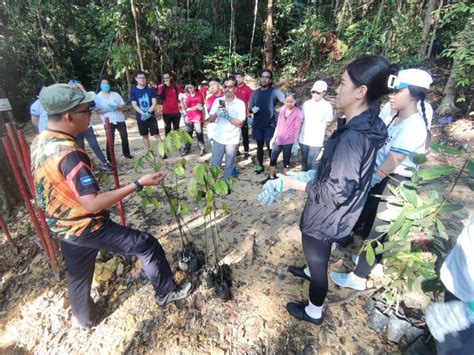 Program Csr Tree Plant And Hiking Anjuran Bersama Jabatan Perhutanan