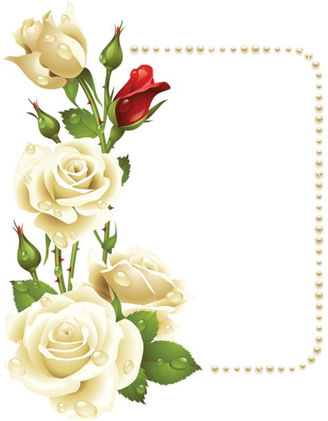 Large Transparent Frame With White Roses And Pearls Backgrounds