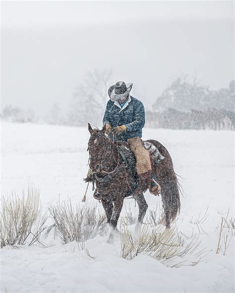 Western Cowboy In Snow Tyler Stableford Productions