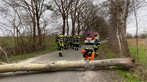 Article / business / content marketing / design / strategy. Sturmschäden beseitigt - Freiwillige Feuerwehren der Stadt ...
