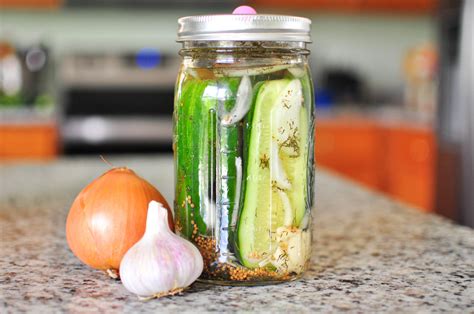 Homemade Lacto Fermented Dill Pickle Recipe The Fermentation Adventure
