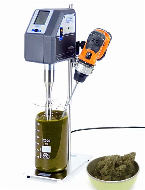 Cannabis Batch Extraction Using Probe Type Sonication Hielscher