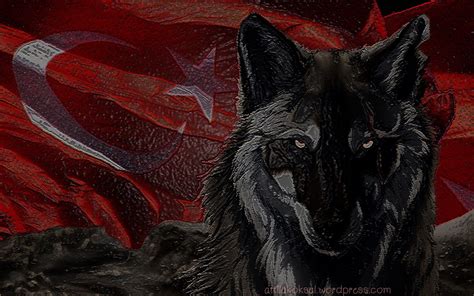 Türk kültüründe bozkurt'un manasını açıklayabilmek için kültürün tanımlanması gerekir. Gray wolf painting, wolf, Bozkurt, Turkish, Turkey HD ...