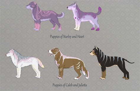 Commission Of Puppies Designs Daletech By Prinzeburnzo On Deviantart