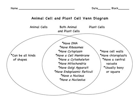Maybe you would like to learn more about one of these? Plant Vs.animal Cell Venn Diagram Beautiful 14 Best Of ...