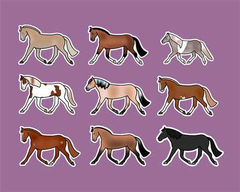 Custom Horse Sticker Best Seller