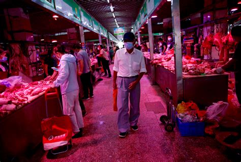 African swine fever: The other virus that is changing the ...