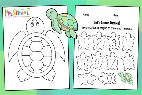 Free Printable Turtle Worksheets For Preschool Theme