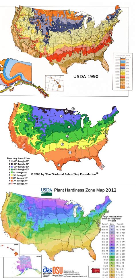 Zone 5b Fruit Trees What Are The Best Trees For Zone 6