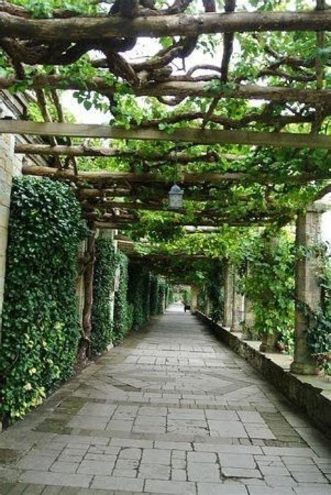 30beautiful Canopies Plant Ideas Beautiful Gardens Outdoor Plants