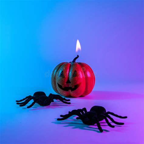 Halloween Pumpkin Black Night Spider Scary Spooky Pumpkin On Night