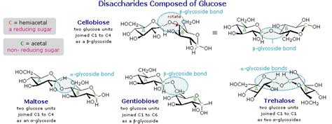 Disaccharides Chemistry Libretexts