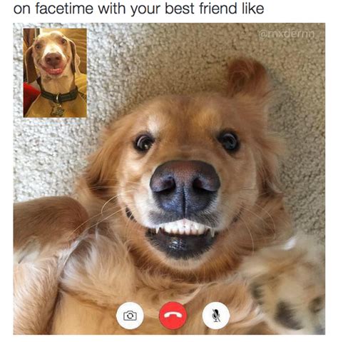 The Friend You Facetime With Like 24 Types Of Friends Every Person
