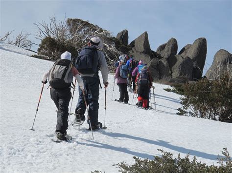 Snowy Mountains And Mt Kosciuszko Long Weekend Group Guided Sydney