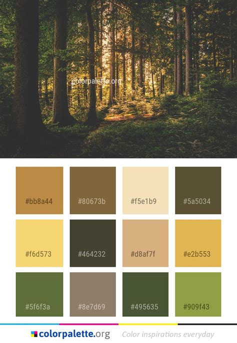 Forest Woodland Nature Color Palette Colors Inspiration Graphics