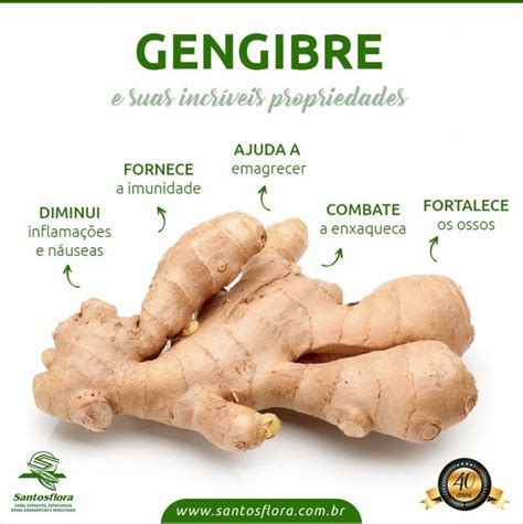 Os 5 Benefícios Do Chá De Gengibre Santosflora