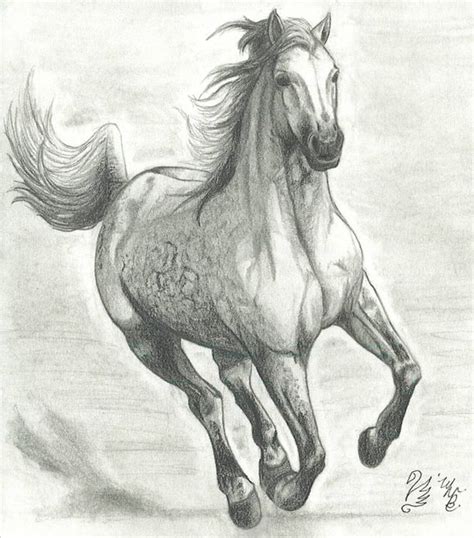 Running Horse Pencil Drawing Online Image Arcade
