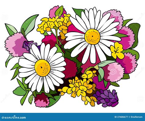 Bouquet Of Wild Flowers Stock Vector Illustration Of Foliage 27686677