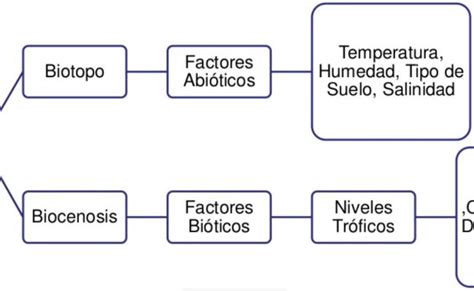 Ecosistema Que Es Tipos Y 101 Ejemplos Ovacen Factores Bioticos Y