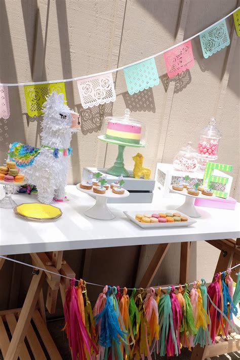 llama and cactus birthday party ideas photo 1 of 47 catch my party