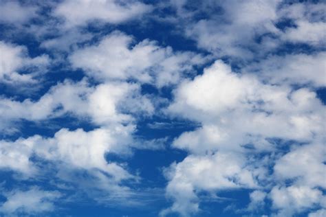 Puffy Clouds On Blue Sky Background Free Stock Photo Public Domain