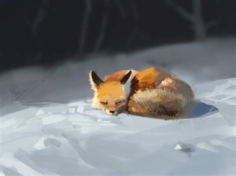 Twitter Animals Fox Fox Art
