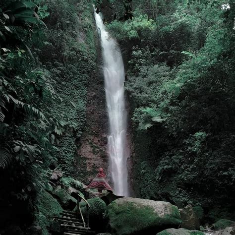 Ikon tempat wisata di bogor selanjutnya adalah kebun raya. Menikmati Keindahan Alam Bersama Curug Ciparay, Gunungsari ...