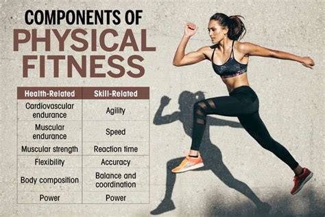 What Are The Health Skill Related Components Of Physical Fitness