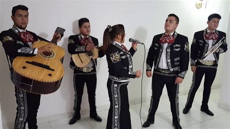 Mariachi Bogota Show Mexical Youtube
