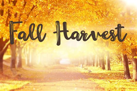 Fall Harvest Hallmark Channel Hallmark Channel