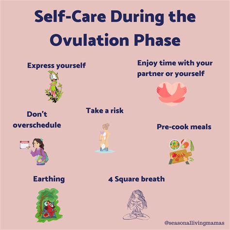 Self Care With Your Ovulation Phase Of Your Cycle ⋆ Andrea Claassen