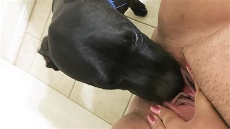 Mom Spreads Legs So Obedient Dog Could Lick Her Sweet Xxx