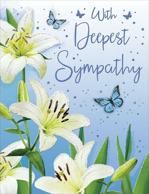 with deepest sympathy card lilies 8 x 6 inches regal publishing 5053349801390 ebay