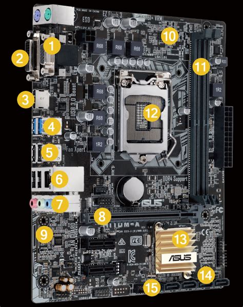H110m A Motherboards Asus Usa