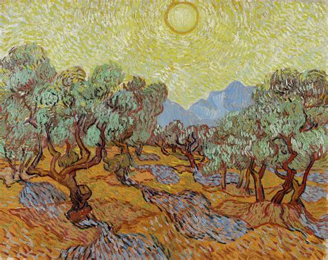 Olive Trees Painting By Vincent Van Gogh Fine Art America