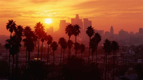 Los Angeles Sunset Palm Trees
