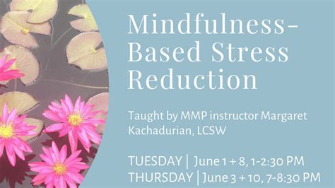 introduction to mindfulness based stress reduction online