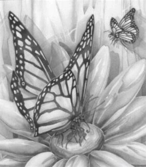 These digital coloring pages for kids and adults are. Butterfly Coloring pages colouring adult detailed advanced ...