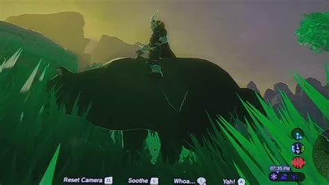 All Animals That You Can Ride In The Legend Of Zelda Breath Of The Wild